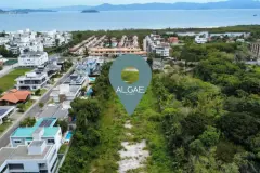 Vista aérea do terreno com localização marcada no bairro Cachoeira do Bom Jesus, lagoa e praia ao fundo — Algae Beach Residence em Cachoeira do Bom Jesus, Florianópolis