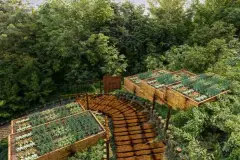 Perspectiva da horta comunitária do B7 Essence Brava com canteiros elevados de madeira, caminho de deck e vegetação em mata nativa — B7 Essence Brava em Praia Brava, Florianópolis