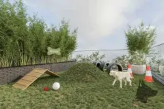 Pet place ao ar livre com grama sintética, rampa de madeira, cones e bambuzeiro ao redor — BG Connect Canas em Canasvieiras, Florianópolis