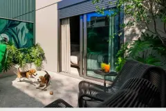 Pátio privativo com dois beagles, mesa, cadeiras e jardim tropical com vegetação densa — Imob Trindade On em Trindade, Florianópolis