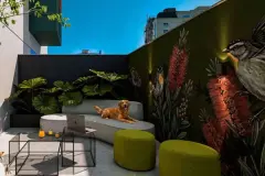 Pátio externo com sofá curvo, mesa, poltronas verdes, cachorro golden e mural de aves tropicais coloridas — Imob Trindade On em Trindade, Florianópolis