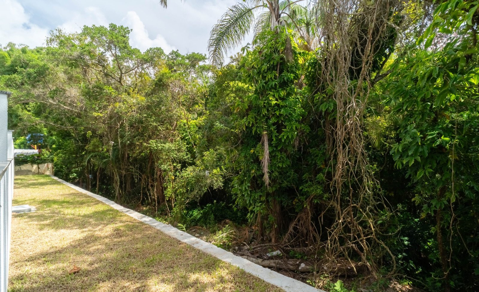 Lagoa Spot, Lagoa da Conceição