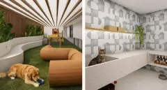 colagem 2 fotos pet care cão golden gramado obstáculos playground e gato banheira azulejo xadrez prateleira plantas — Ondas do Leste em Barra da Lagoa, Florianópolis