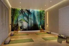 Sala de yoga com mural de floresta tropical, colchonetes verdes, lanternas de bambu e iluminação âmbar — Vision 1617 em Saco Grande, Florianópolis